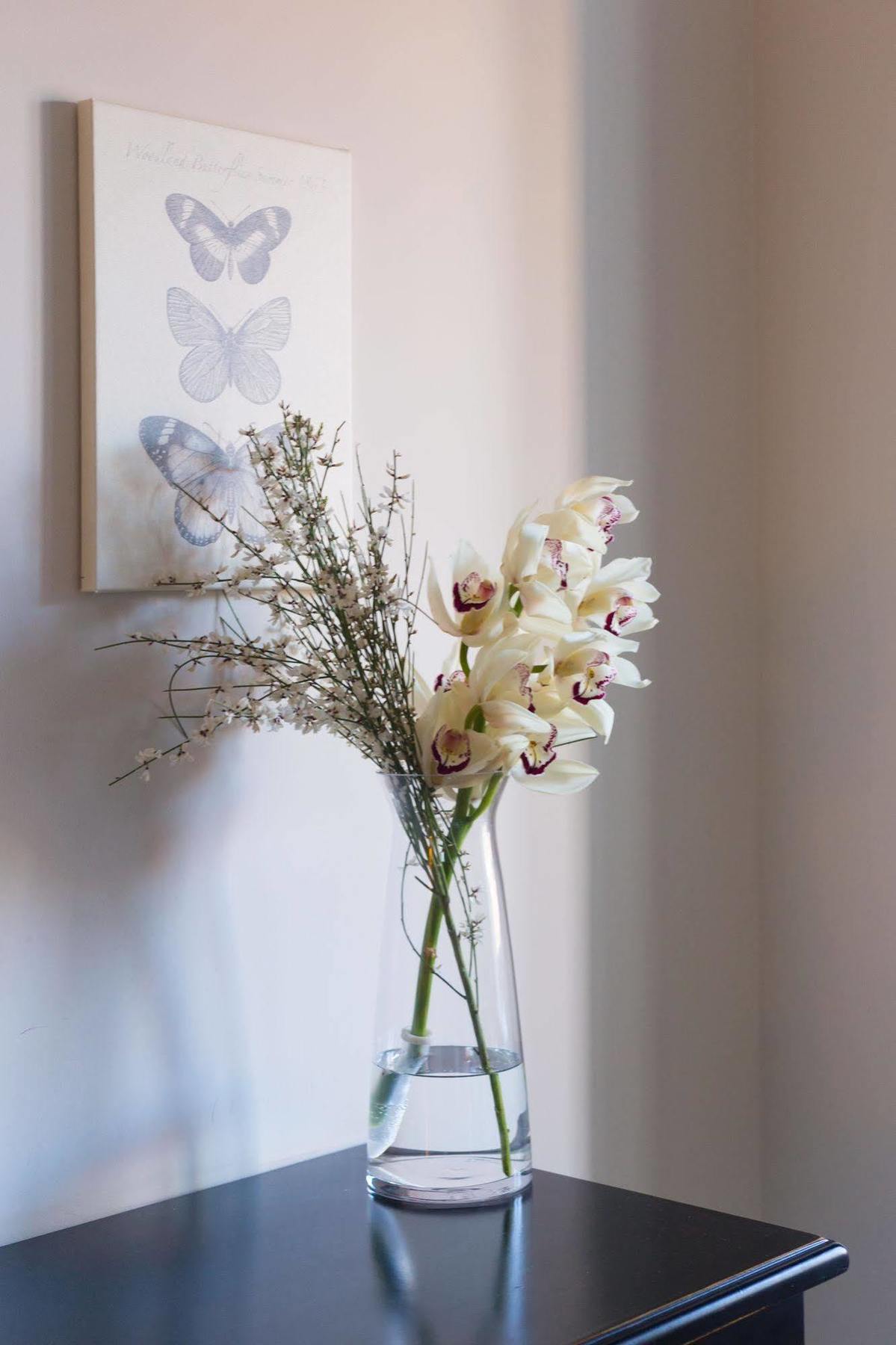 Couette-café Residenza Scipioni Luxury Rome